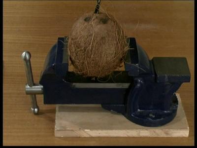 Things To Do With Coconuts