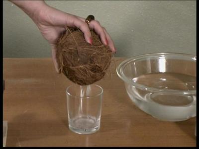 Things To Do With Coconuts