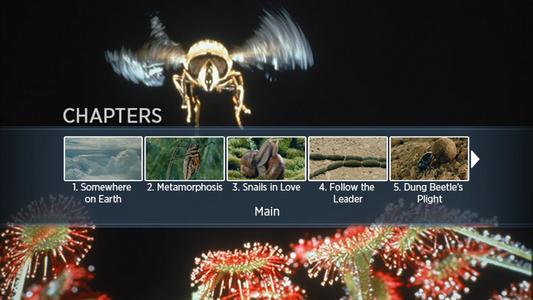 Microcosmos -- menus