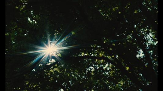 Microcosmos
