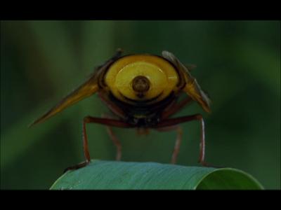 Making-of Documentary