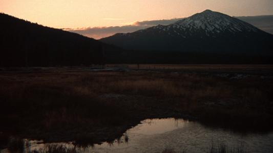 One Flew Over the Cuckoo's Nest