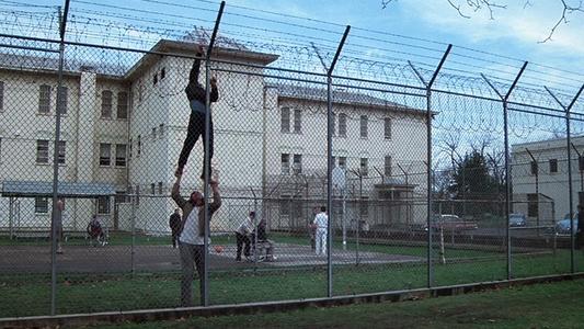 One Flew Over the Cuckoo's Nest