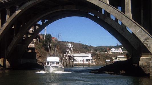 One Flew Over the Cuckoo's Nest