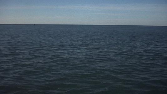 One Flew Over the Cuckoo's Nest