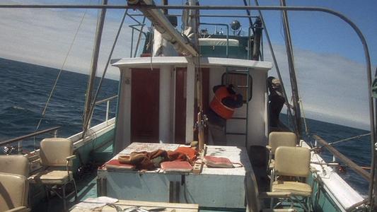 One Flew Over the Cuckoo's Nest