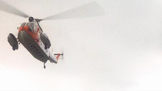 One Flew Over the Cuckoo's Nest