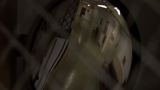 One Flew Over the Cuckoo's Nest