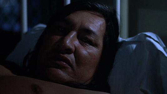 One Flew Over the Cuckoo's Nest