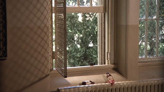 One Flew Over the Cuckoo's Nest