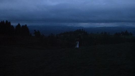 One Flew Over the Cuckoo's Nest