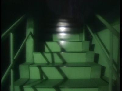 Scary True Stories: Night Two