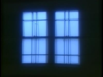 All New Scary True Stories: The Realm of Spectors