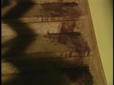 All New Scary True Stories: The Realm of Spectors