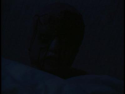All New Scary True Stories: The Realm of Spectors