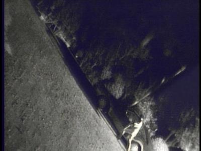 All New Scary True Stories: The Realm of Spectors