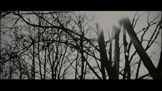 Three Days of the Condor