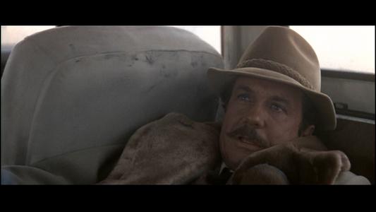 Three Days of the Condor