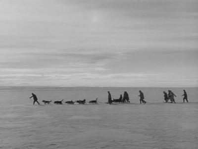 The Thing From Another World