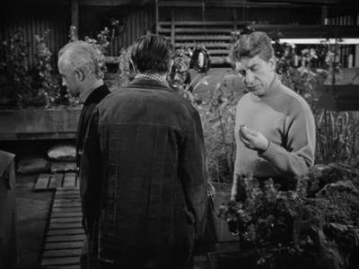 The Thing From Another World