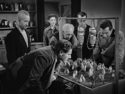 The Thing From Another World