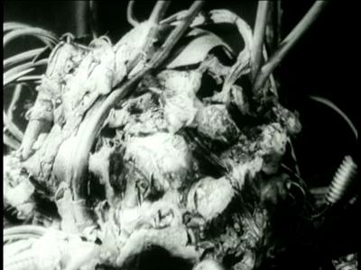 Tetsuo