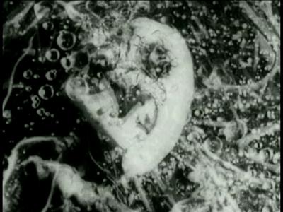 Tetsuo