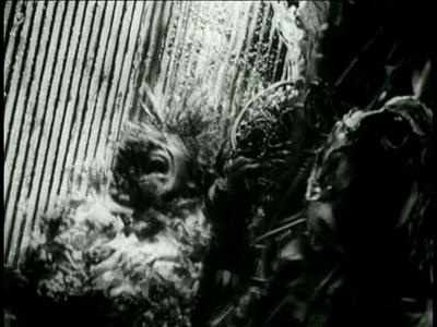 Tetsuo